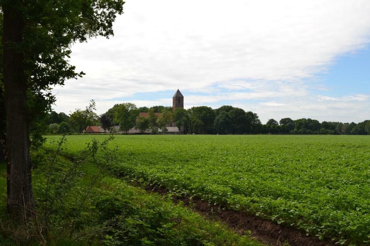 Mooi Nieuw Houten Huisje 哈弗尔特 外观 照片